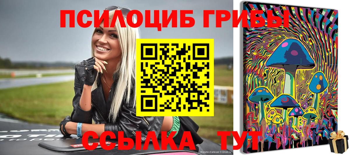 Псилоцибиновые грибы Psilocybine cubensis  Вход с VPN  Отрадный 